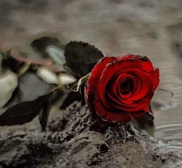 You are currently viewing Aşk Hikayesi; Karasevda