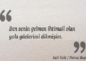 Read more about the article Sait Faik Hikayeleri; “Havuz Başı”