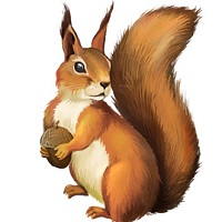 Read more about the article Başarı Hikayeleri: “Sincabın Verdiği Ders”