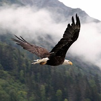 Read more about the article Masal