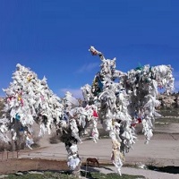 Read more about the article Hikaye