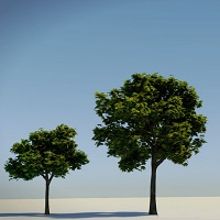 Read more about the article Bilgelik Hikayesi