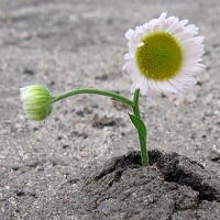 Read more about the article Güzel Hikaye; Sevgi ve Umudun  Gücü