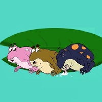 Read more about the article Masal Okuma “KURUMUŞ GÖLÜN KURBAĞALARI”